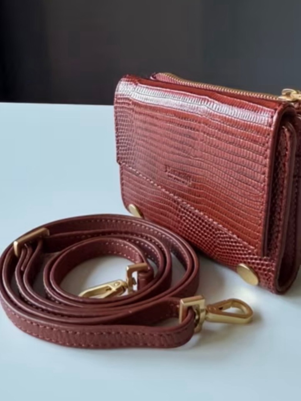 HAMMITT Levy Redwood Lizard Brushed Gold Wallet Cross body